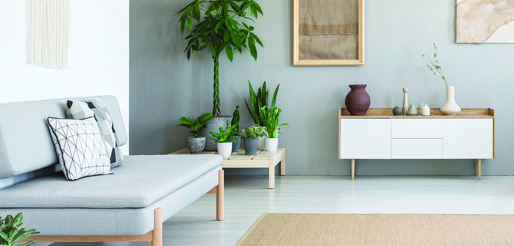 Comment apporter la lumière naturelle dans les pièces de sa maison ?