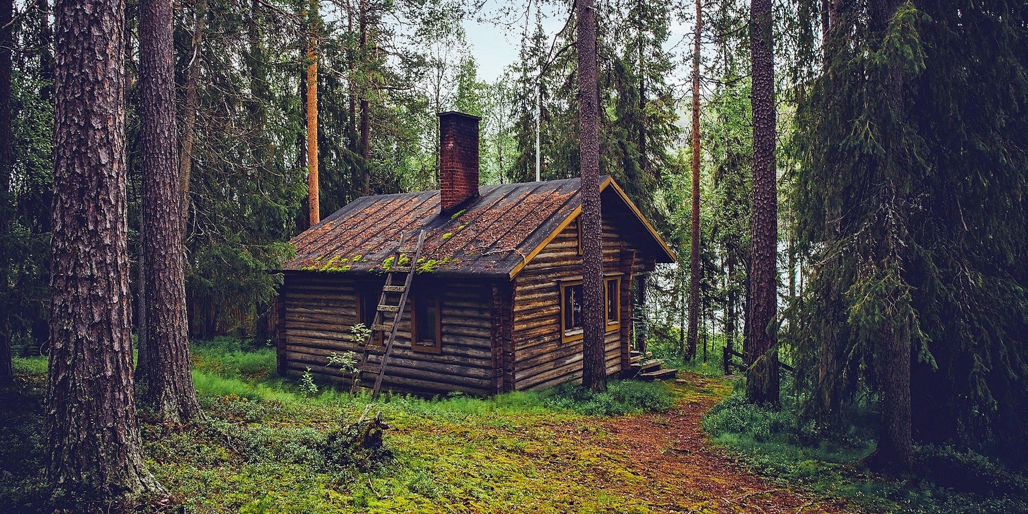 Comment vivre seul en foret ?